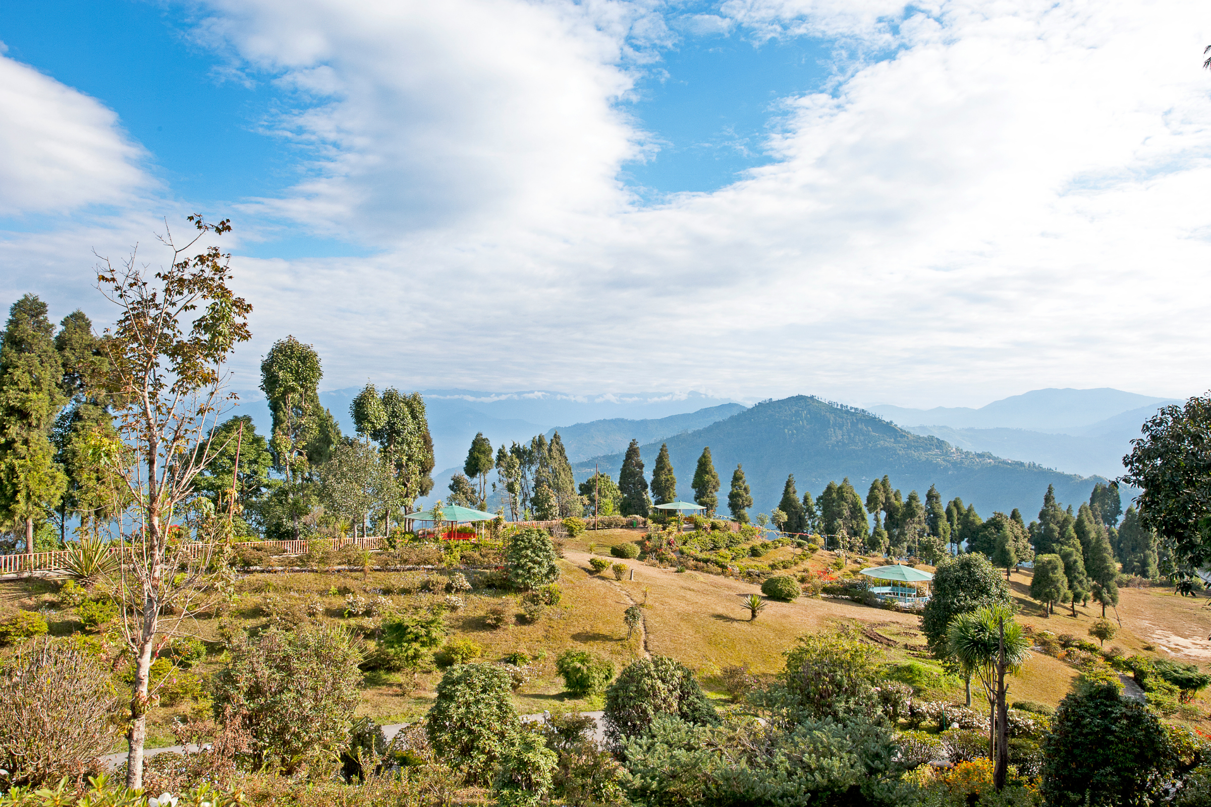 kalimpong, west bengal (2).webp